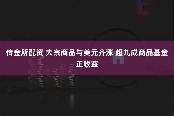 传金所配资 大宗商品与美元齐涨 超九成商品基金正收益
