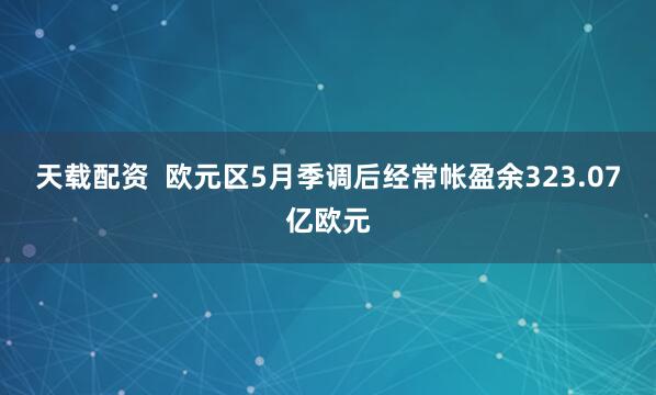 天载配资  欧元区5月季调后经常帐盈余323.07亿欧元