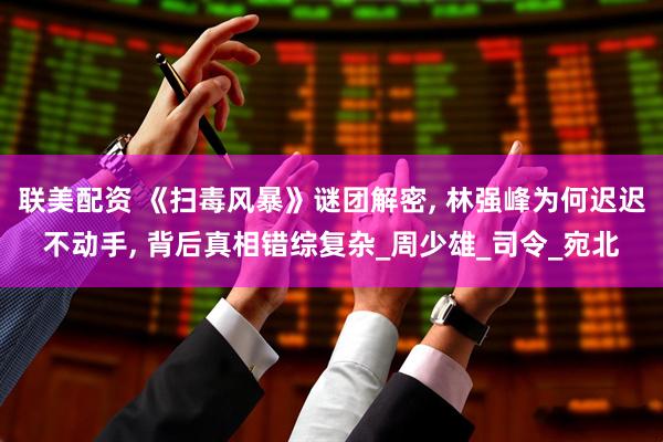 联美配资 《扫毒风暴》谜团解密, 林强峰为何迟迟不动手, 背后真相错综复杂_周少雄_司令_宛北