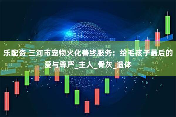 乐配资 三河市宠物火化善终服务：给毛孩子最后的爱与尊严_主人_骨灰_遗体