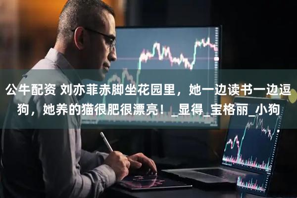 公牛配资 刘亦菲赤脚坐花园里，她一边读书一边逗狗，她养的猫很肥很漂亮！_显得_宝格丽_小狗